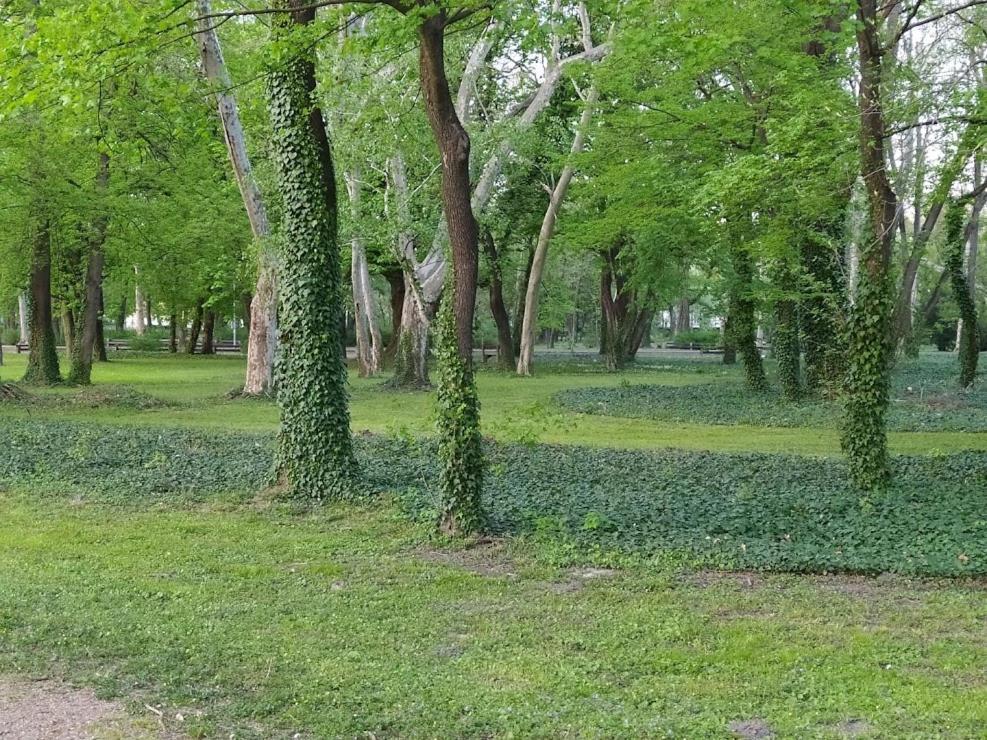 Nelli Apartman Apartment Keszthely Luaran gambar